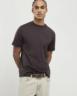 Brown Regular Fit Crew Neck T-Shirt