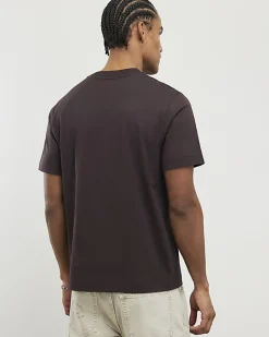 Brown Regular Fit Crew Neck T-Shirt