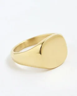Gold Steel Signet Ring