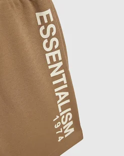 Mini Boys Brown Essentialism T-Shirt Set
